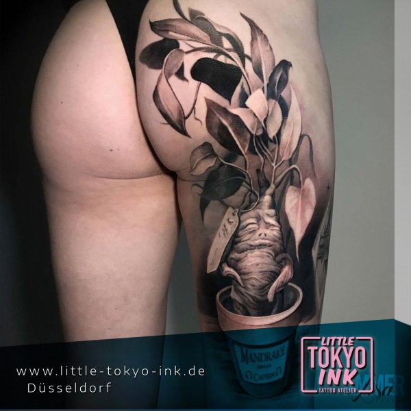 Lisa Ammer - Little Tokyo Ink